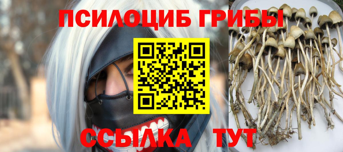 Псилоцибиновые грибы Psilocybine cubensis  Галлюциногенные грибы Magic Shrooms  Вход с VPN  Глазов 